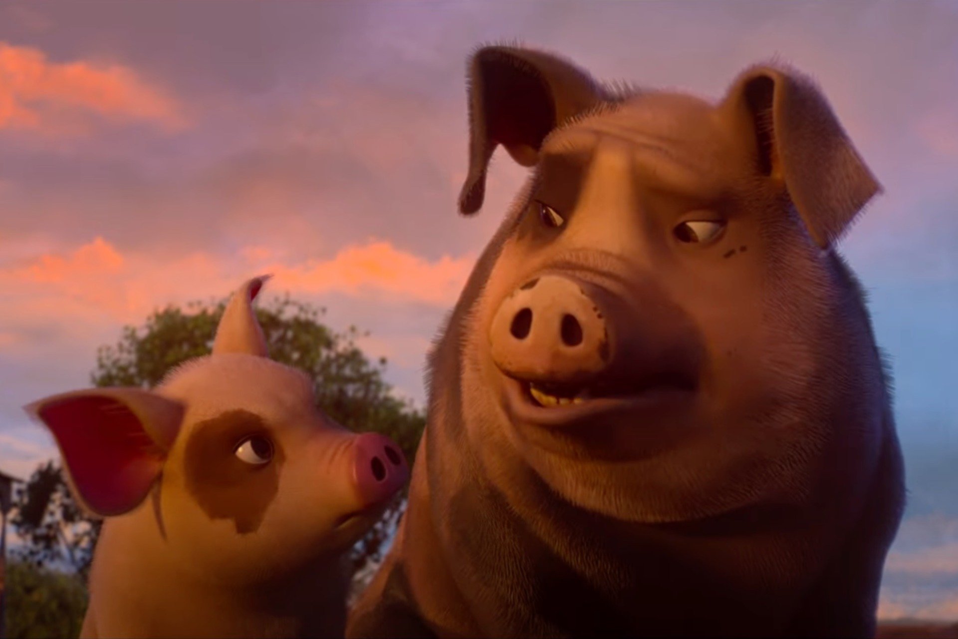 Animalfarm