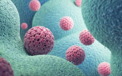 The HPV Vaccine Isn’t Just Preventing Cervical Cancer, New Research Reveals