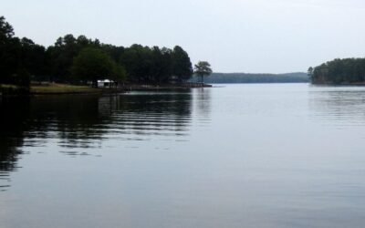 8-Year-Old Girl in Louisiana Dies From ‘Brain-Eating’ Amoeba After Lake Swim